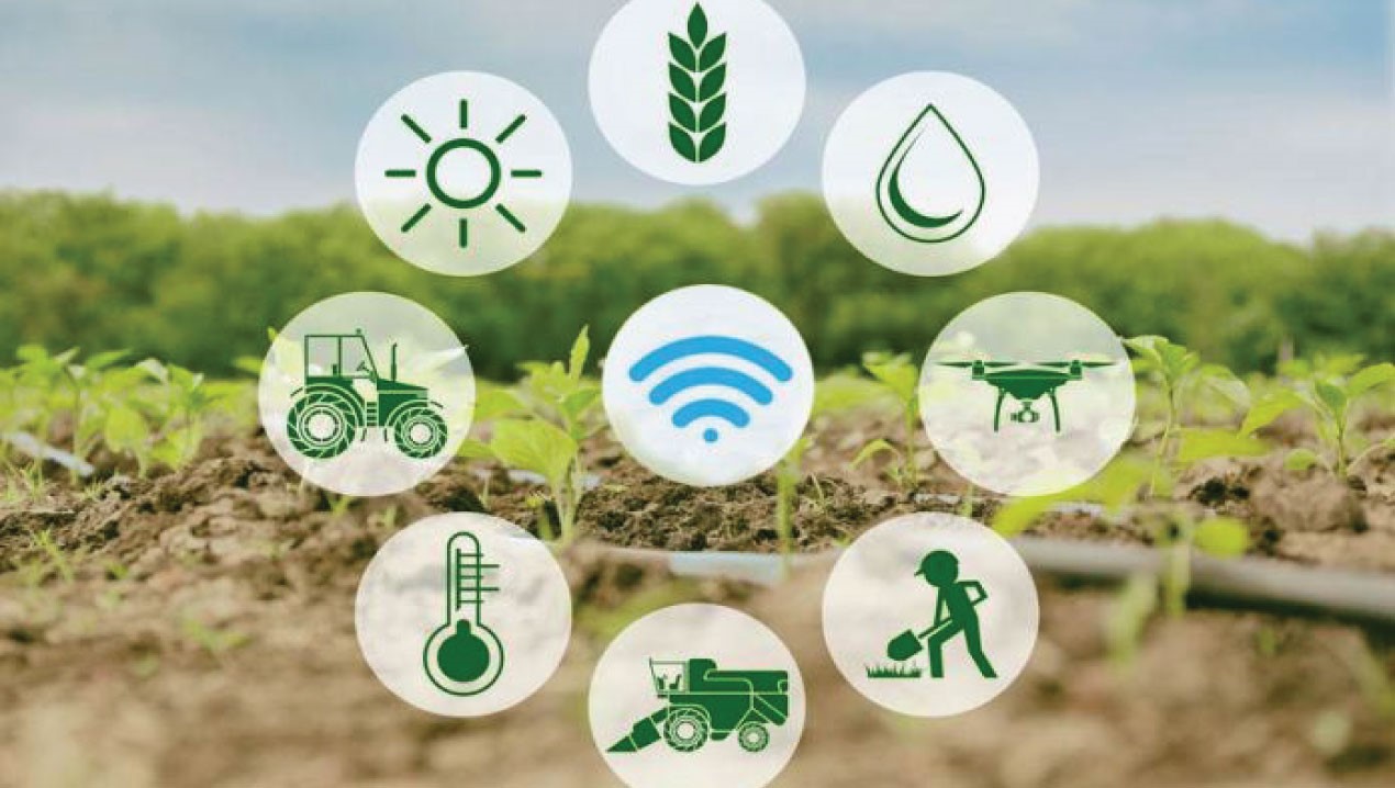 TALLER  DE INNOVACIÓN EN LOS AGRO NEGOCIOS(CVBR)