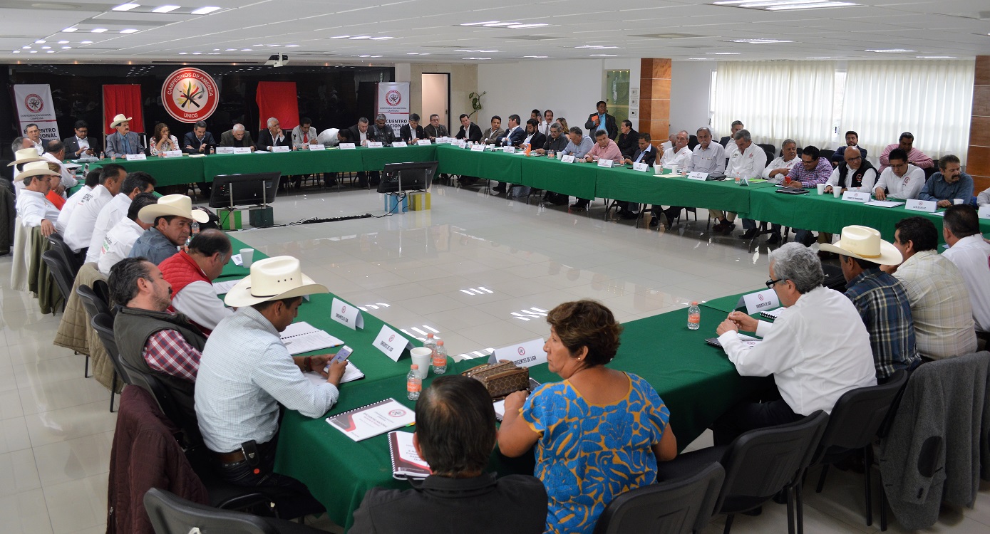 Figuras Asociativas Para La Producción (RHR)